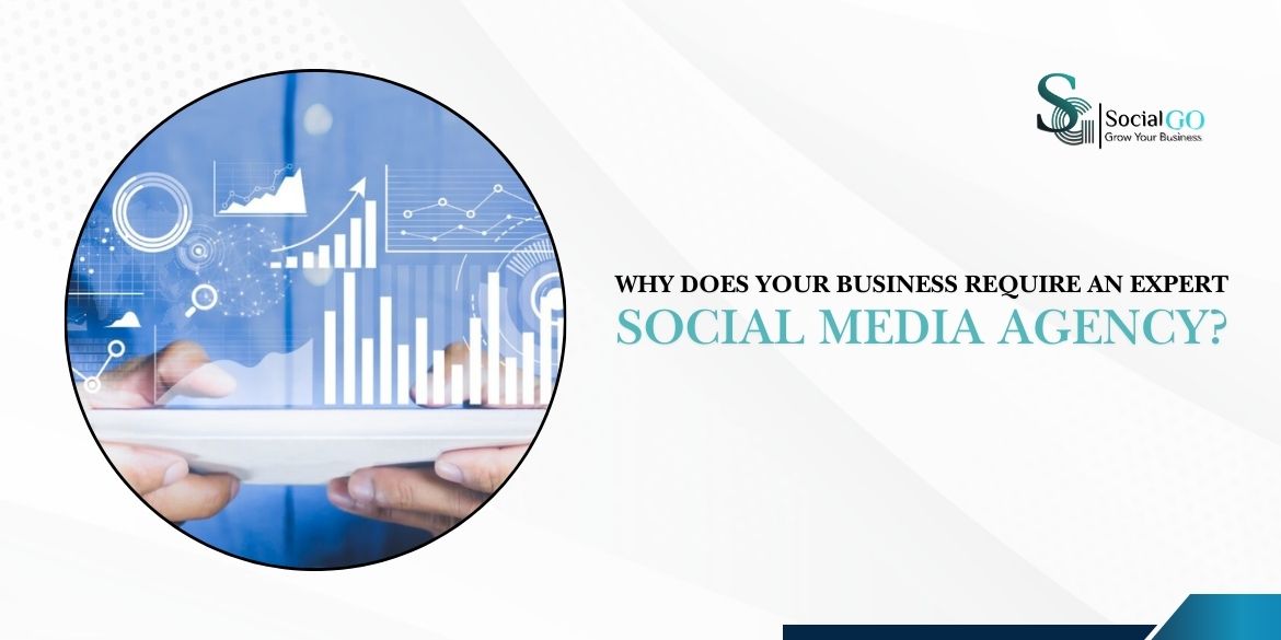 Why Does Your Business Require an Expert Social Media Agency?